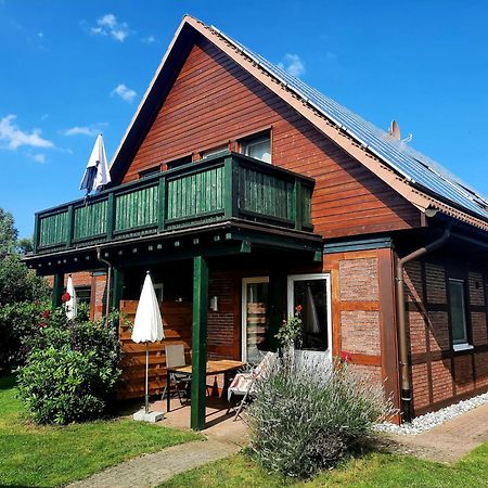 Ferienhaus Sasse Ferienwohnungen Mit Garten & Grill Molschow Dış mekan fotoğraf